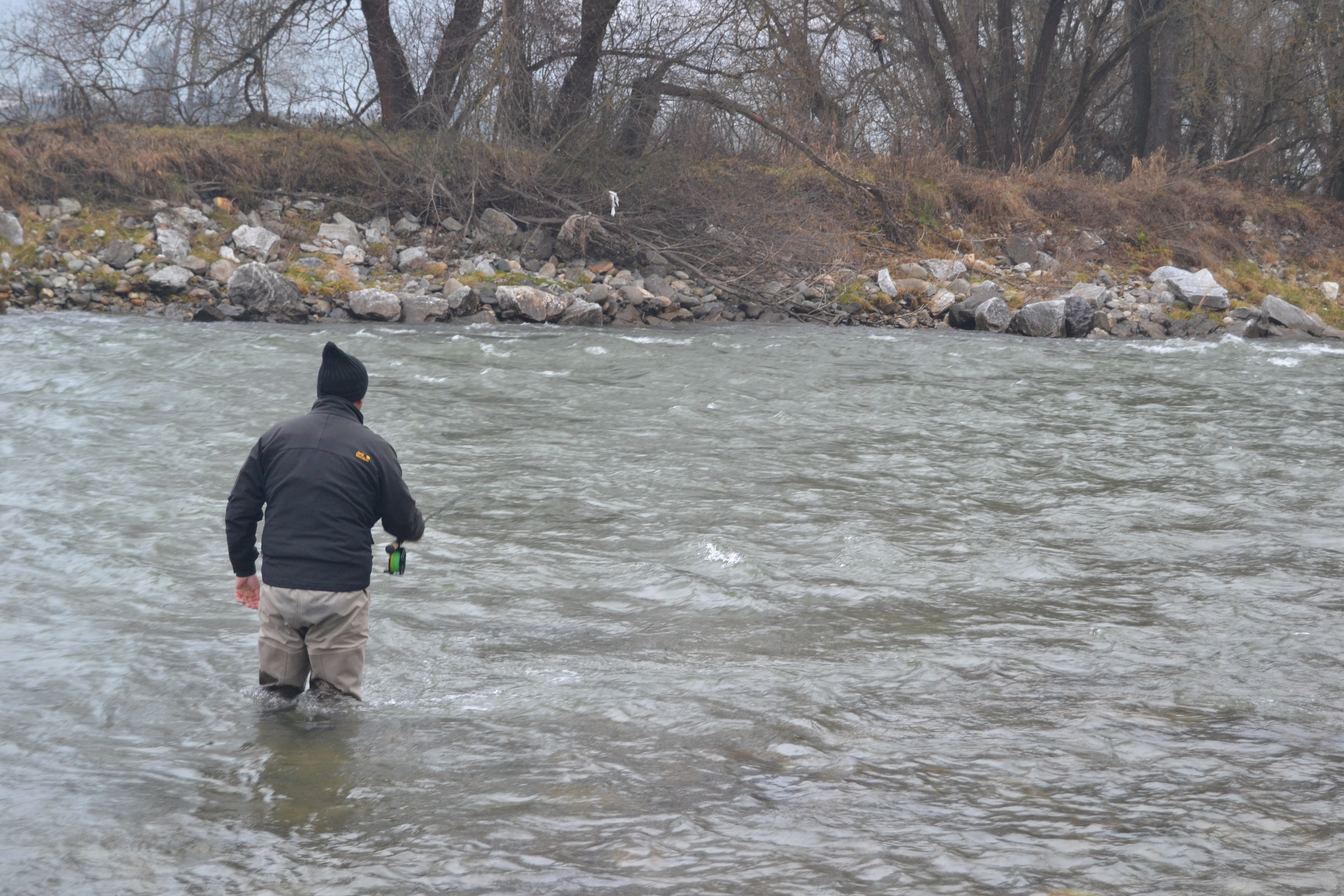 20121130-huchenfischenfredimoser-08