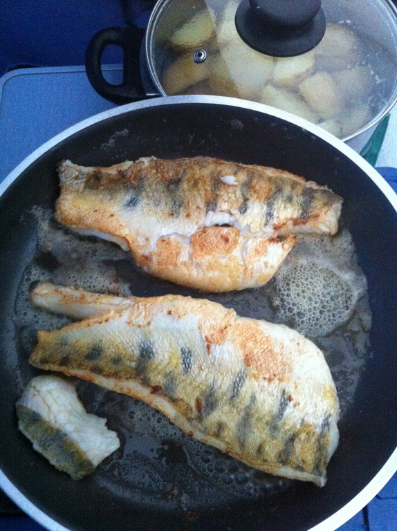 20140321-fischen-am-ebro-06