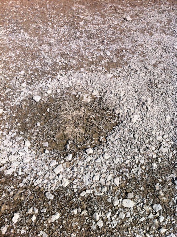 20140321-fischen-am-ebro-13