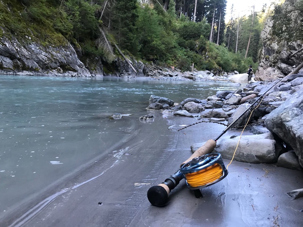 B6d091c5 3675 4395 93e8 C735ac4e52fd