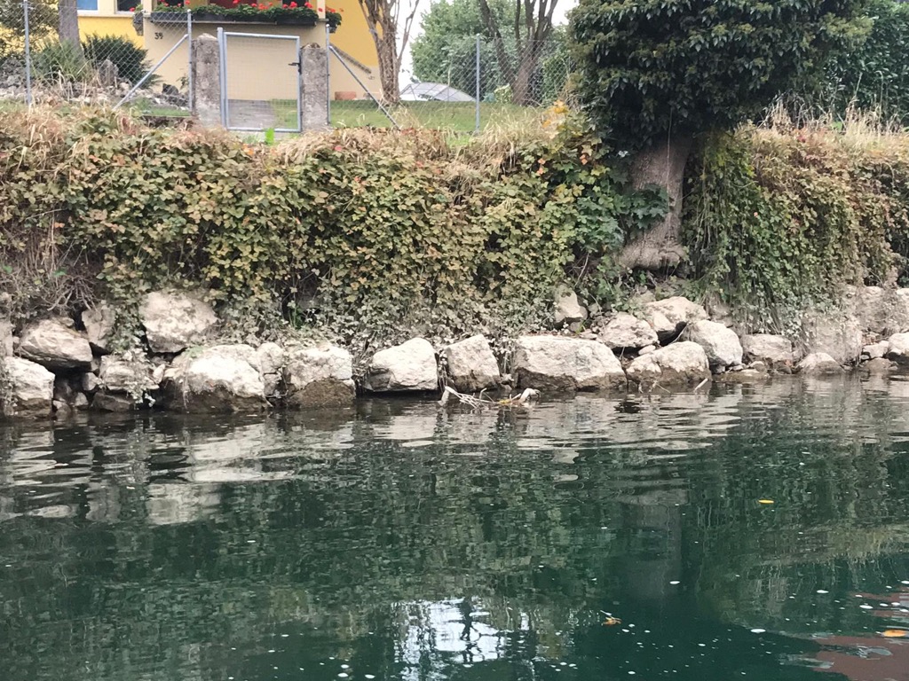 8b7d5a2c-db33-4afc-9294-ef48f53cf2c4