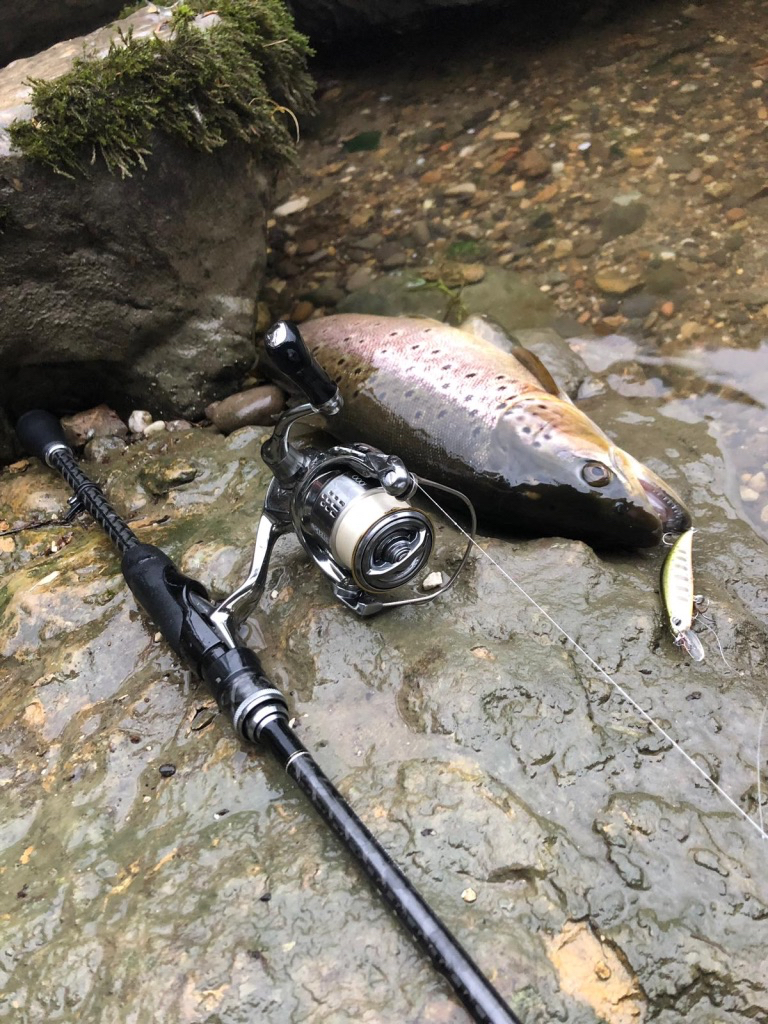 0b05a71a-f71c-4ccd-92c9-8aaffc9aadba