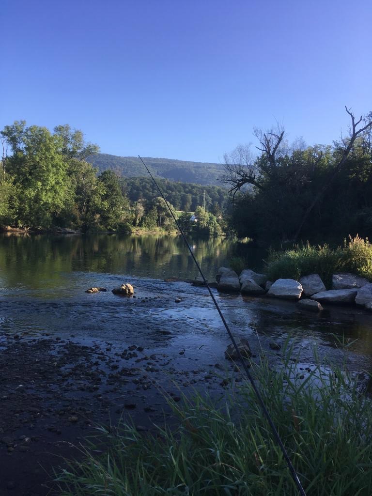 58884813-709f-4074-afec-3fed384542e0