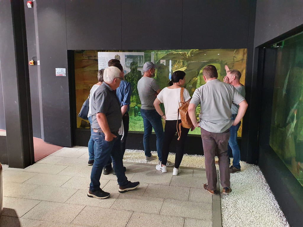 08e1c94e-4e90-46a1-9983-b4c4ed0bef8e