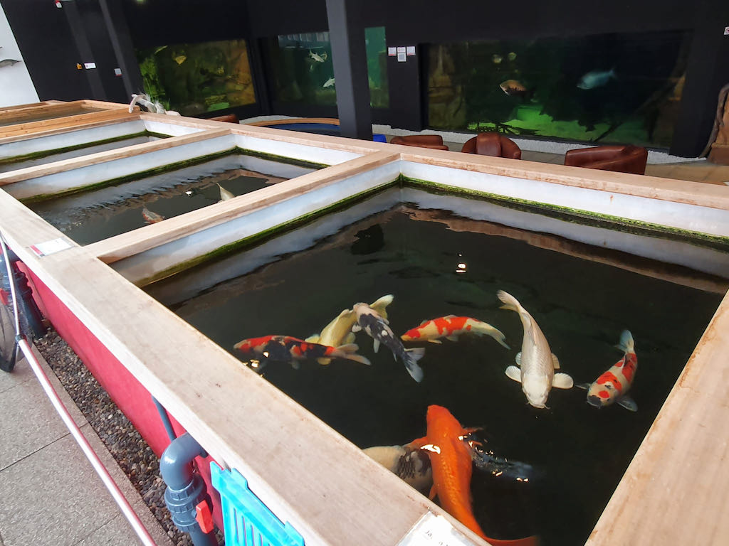 464dbbd9-c16d-4c16-9f67-1d126510fc0e