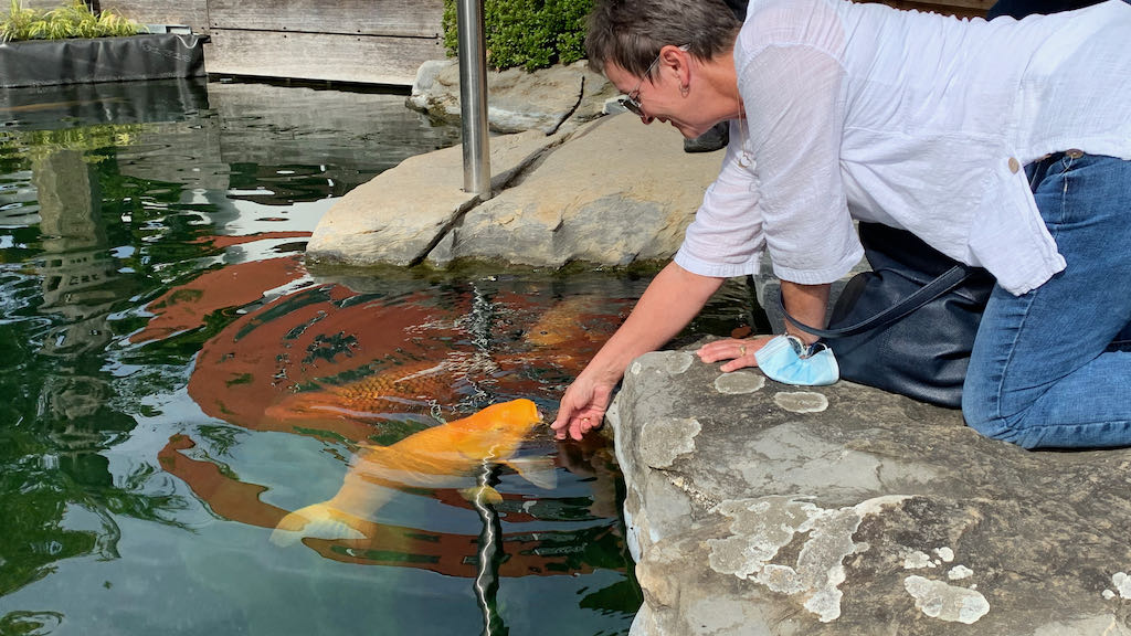 Neumitglieder Apero 2021