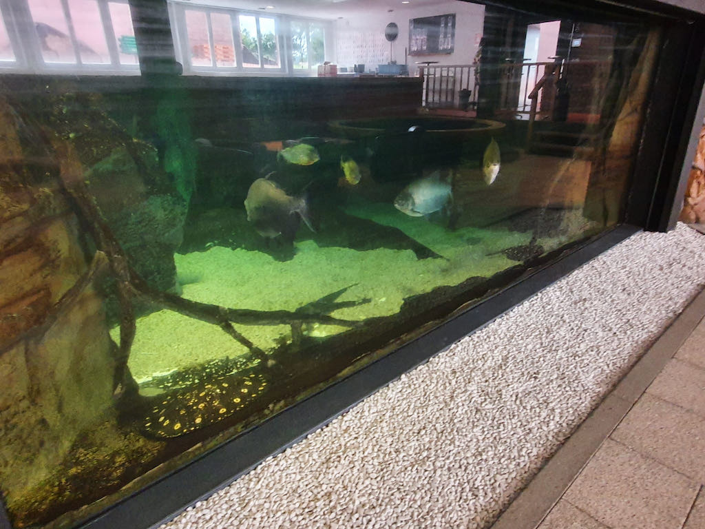 f618c03d-d53f-493c-9bf1-075c8b36fcf