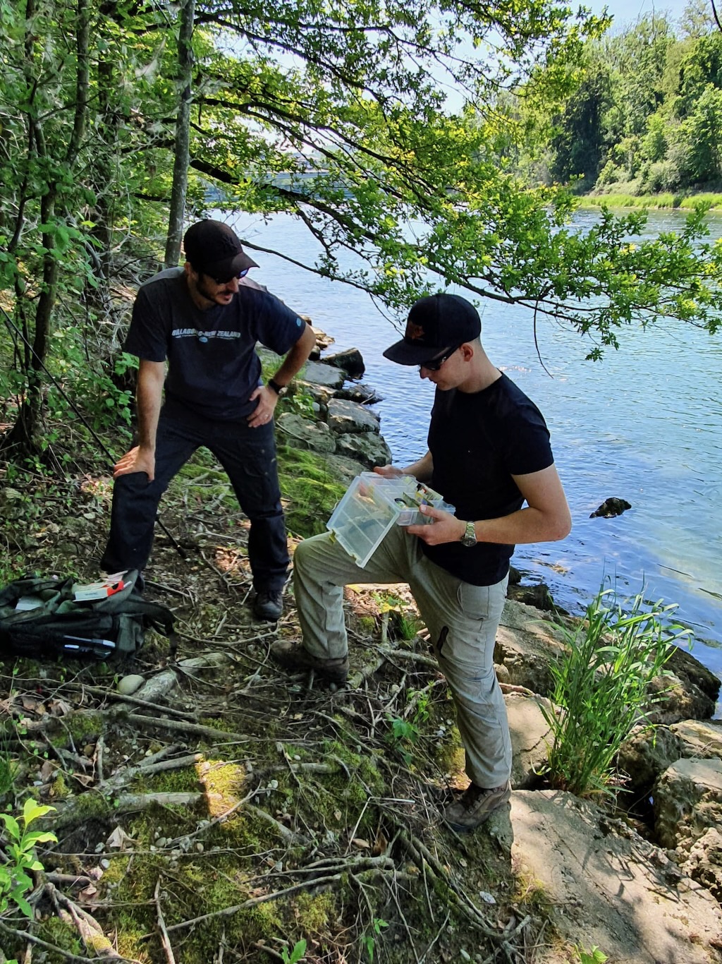 a428029a-ffb8-4233-8d71-5fb924ef7e9a