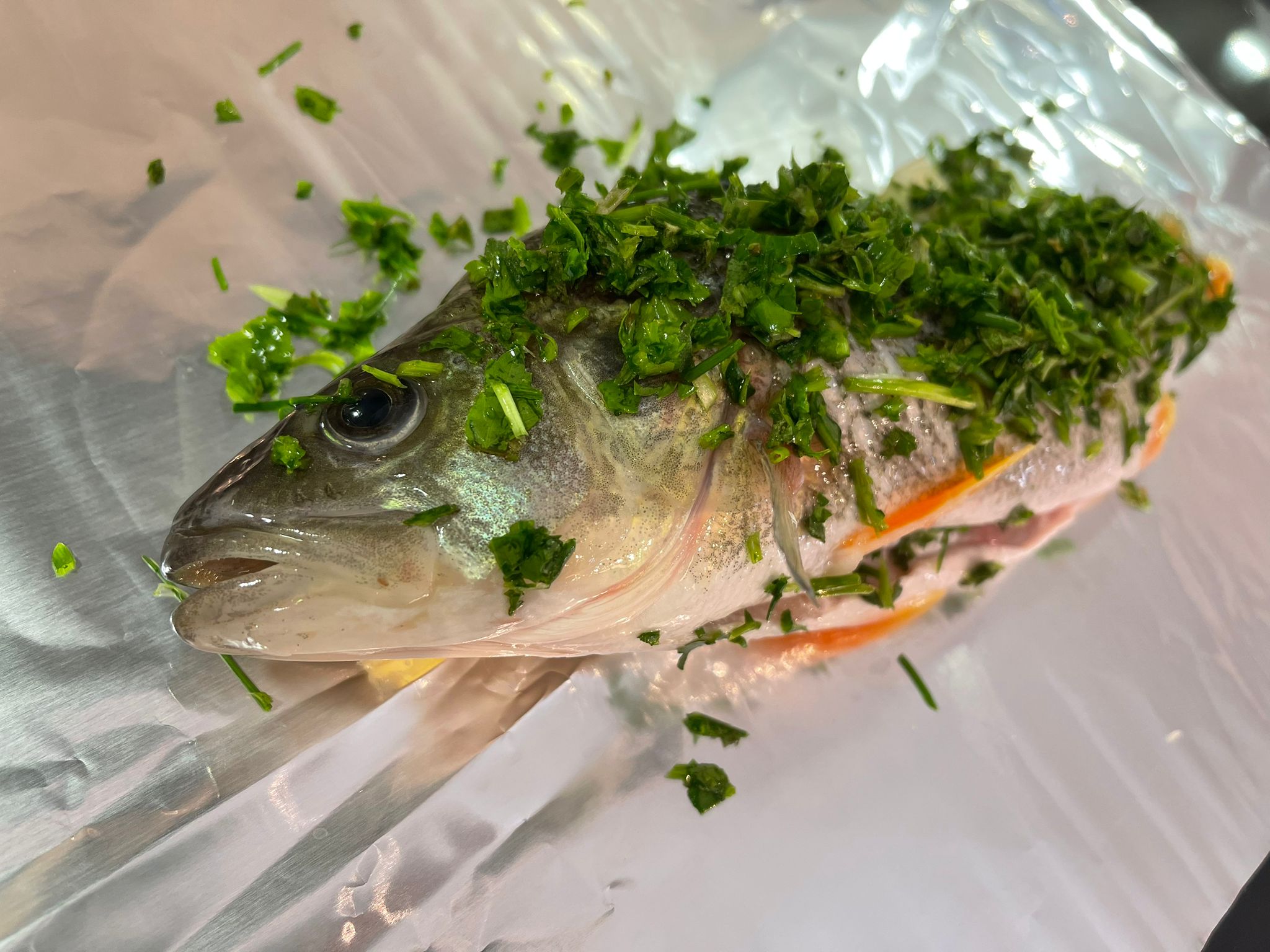 PHOTO-2022-12-21-18-30-46