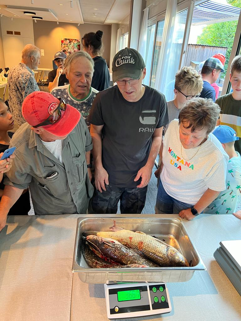 6b81a7fb-5f58-478d-9648-ff07893f23ce