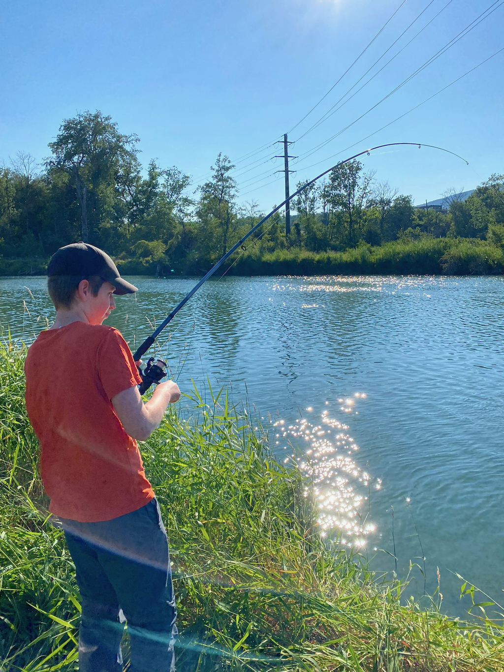 a8ac2c52-4871-41a1-8eaa-9229cd3759f1